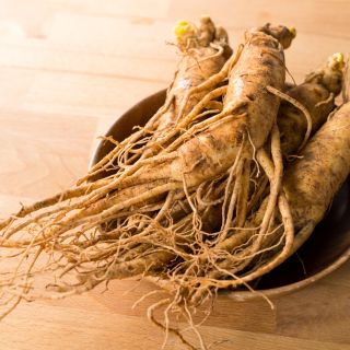 Ginseng Premium